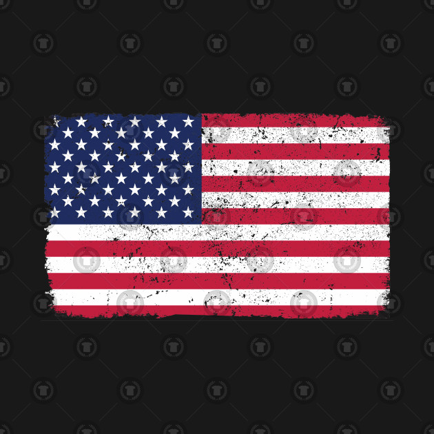 630x630 Vector Vintage American Flag Usa