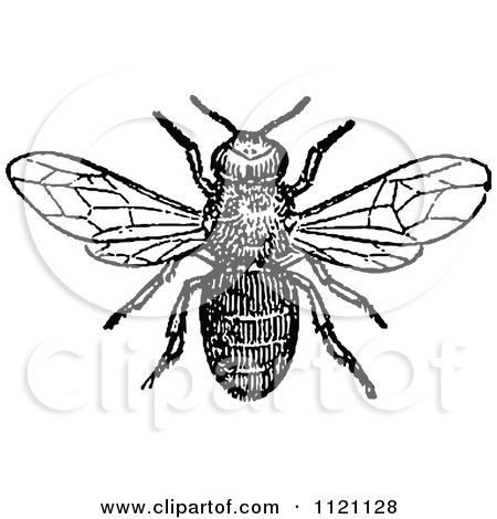 450x470 Tattoos Bee Drawing, Bee Illustration