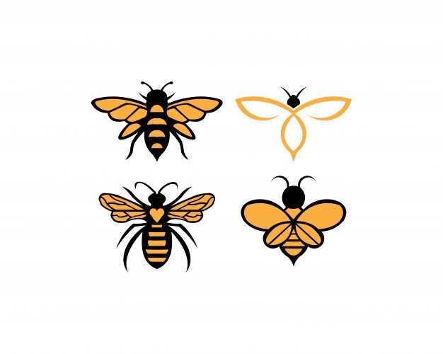 626x500 Bee Vectors, Photos And Free Download