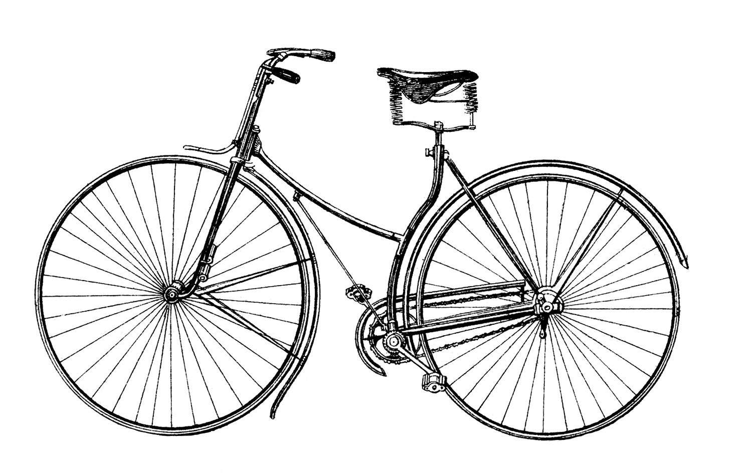 Vintage Bicycle Vector