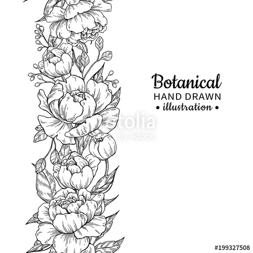 500x500 Floral Seamless Vintage Border Vector Peony And Roses Botanical