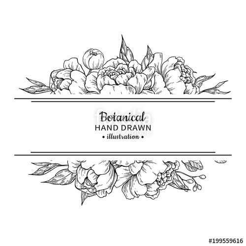 500x500 Flower Vintage Border Vector Peony And Roses Botanical Drawing