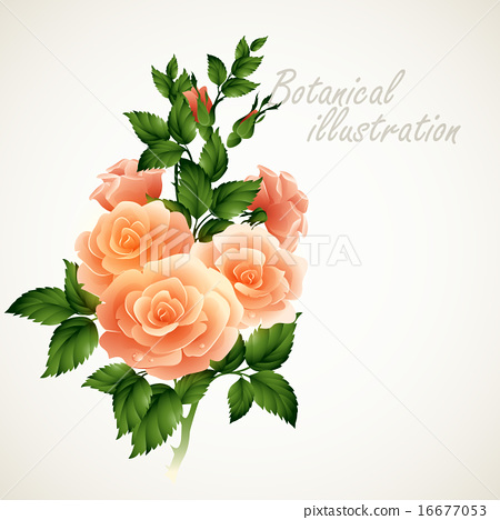 450x468 Botanical Vector Illustration Vintage Floral Card