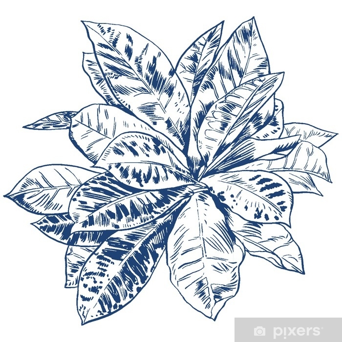 700x700 Exotic Flowers Set Botanical Vector Vintage Illustration Design