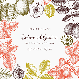 310x310 Free Botanical Vectors Graphics Download Uihere