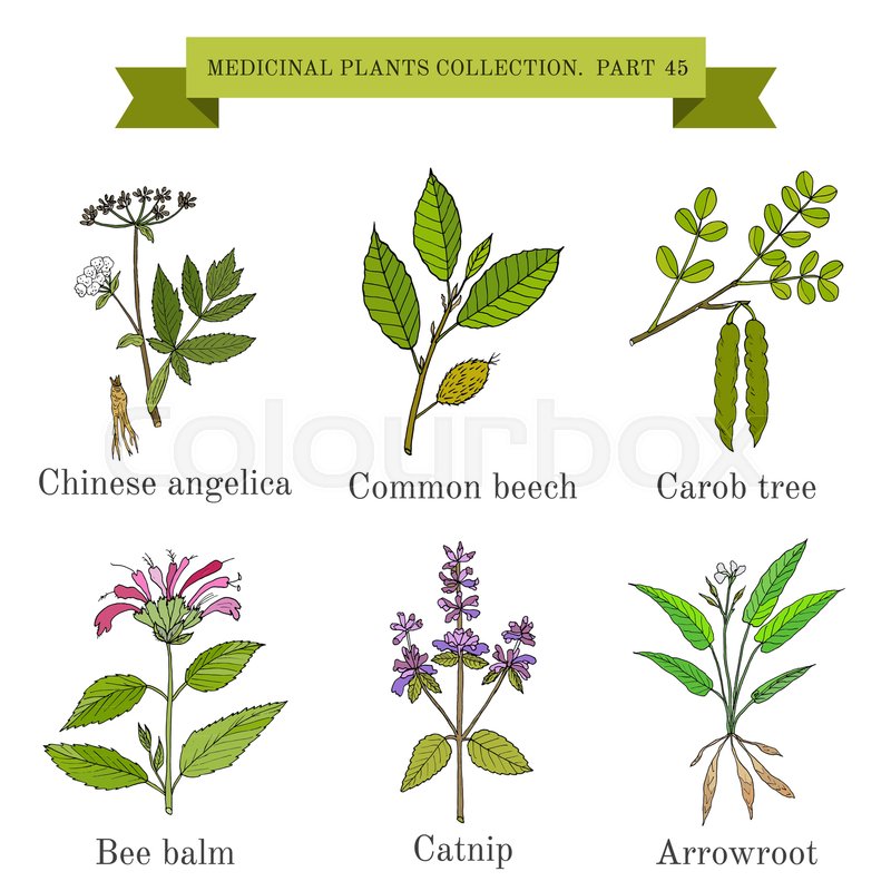 800x800 Vintage Collection Of Hand Drawn Stock Vector Colourbox