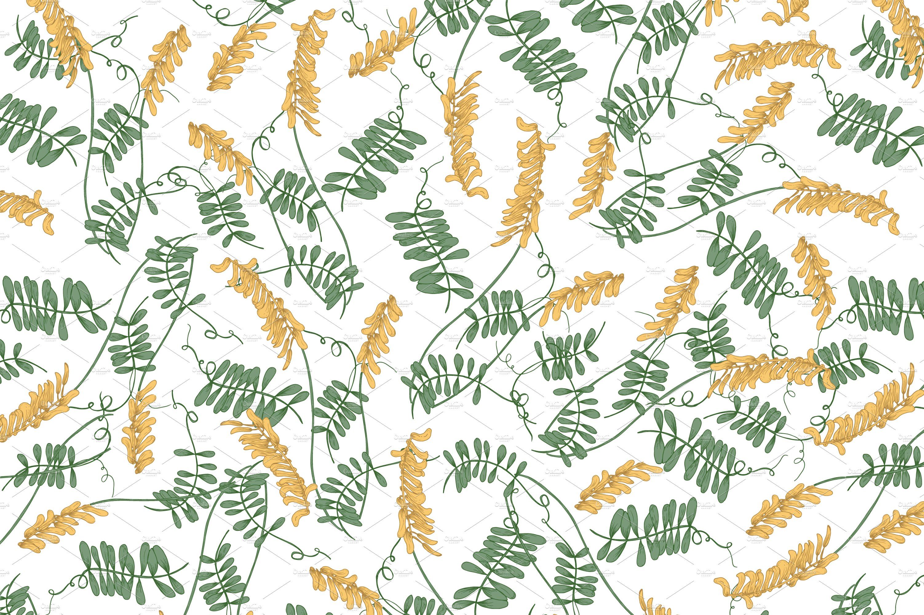 3005x2000 Wild Flowers,herbs,herbaceous Plants