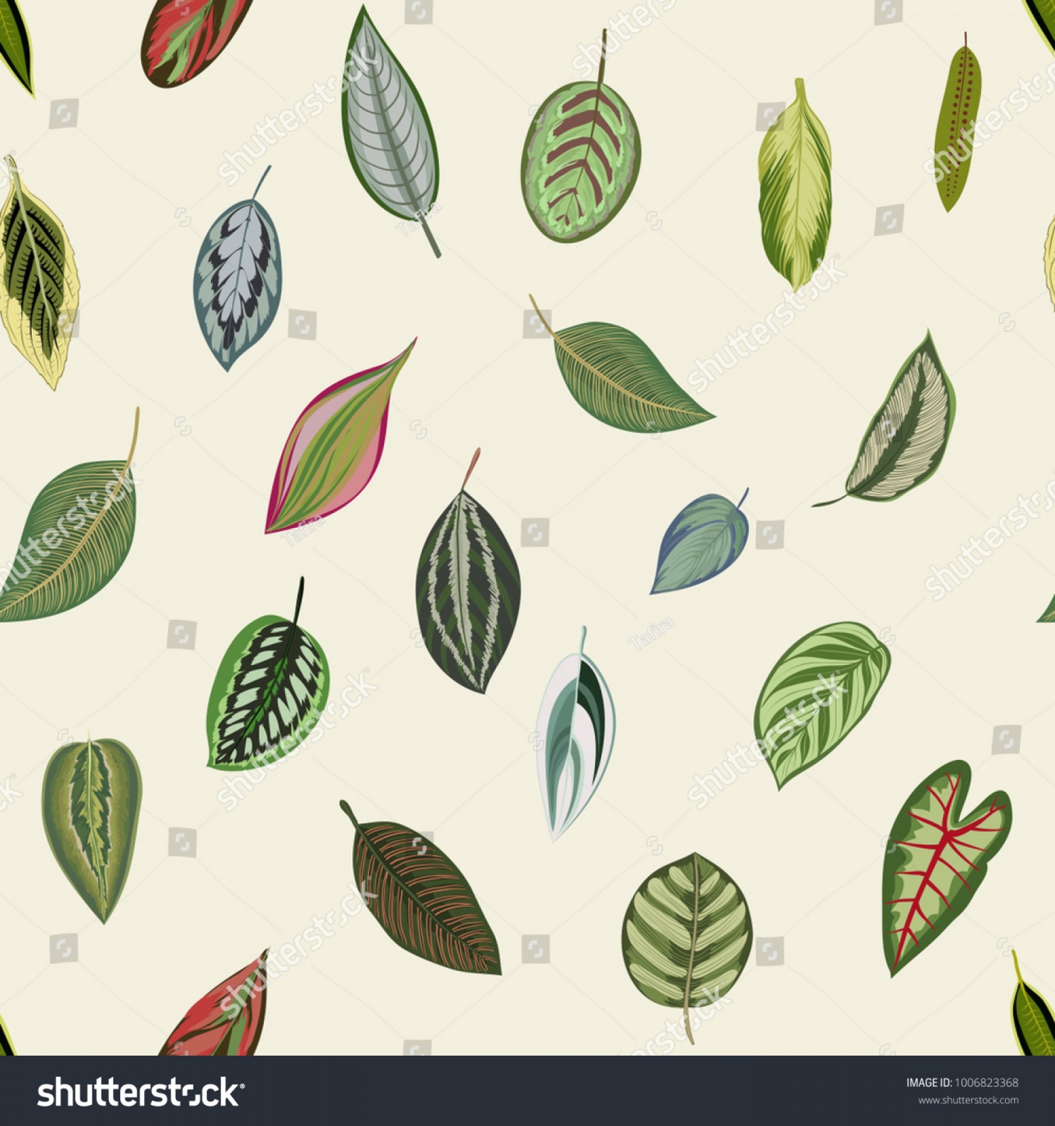 2160x2304 Botanical Prints Vector Savoyuptown