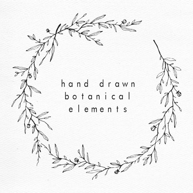 626x626 Botanical Vectors, Photos And Free Download