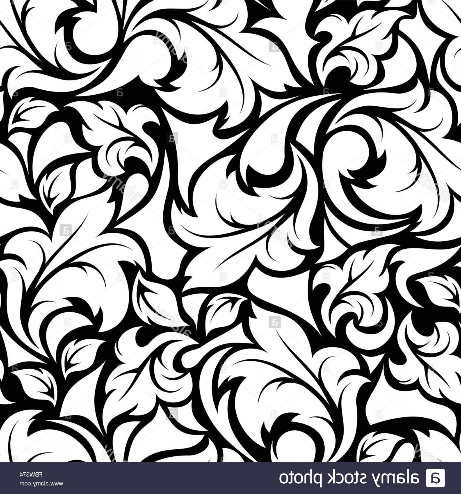1558x1668 Stock Photo Vintage Seamless Black And White Floral Pattern Vector