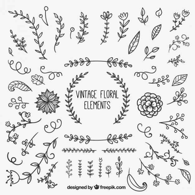 626x626 Vintage Floral Elements Vector Free Download