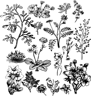 Vintage Floral Vector Free