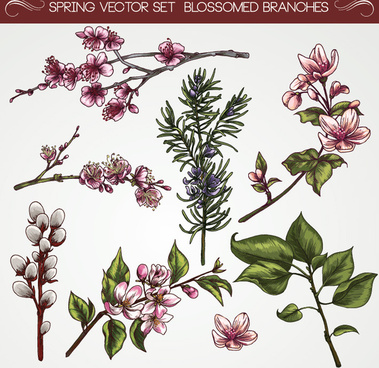 379x368 Vector Vintage Flower Free Vector Download