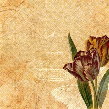 360x360 Free Download Floral Vintage Wallpaper Popular Material Free