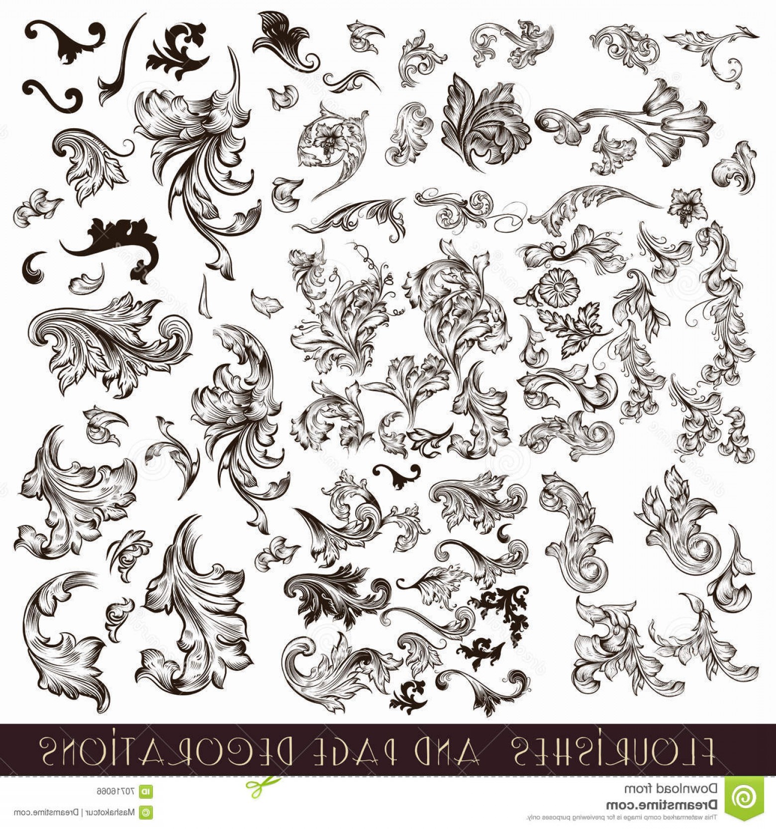 1560x1668 Stock Illustration Collection Vector Vintage Ornaments Retro Style