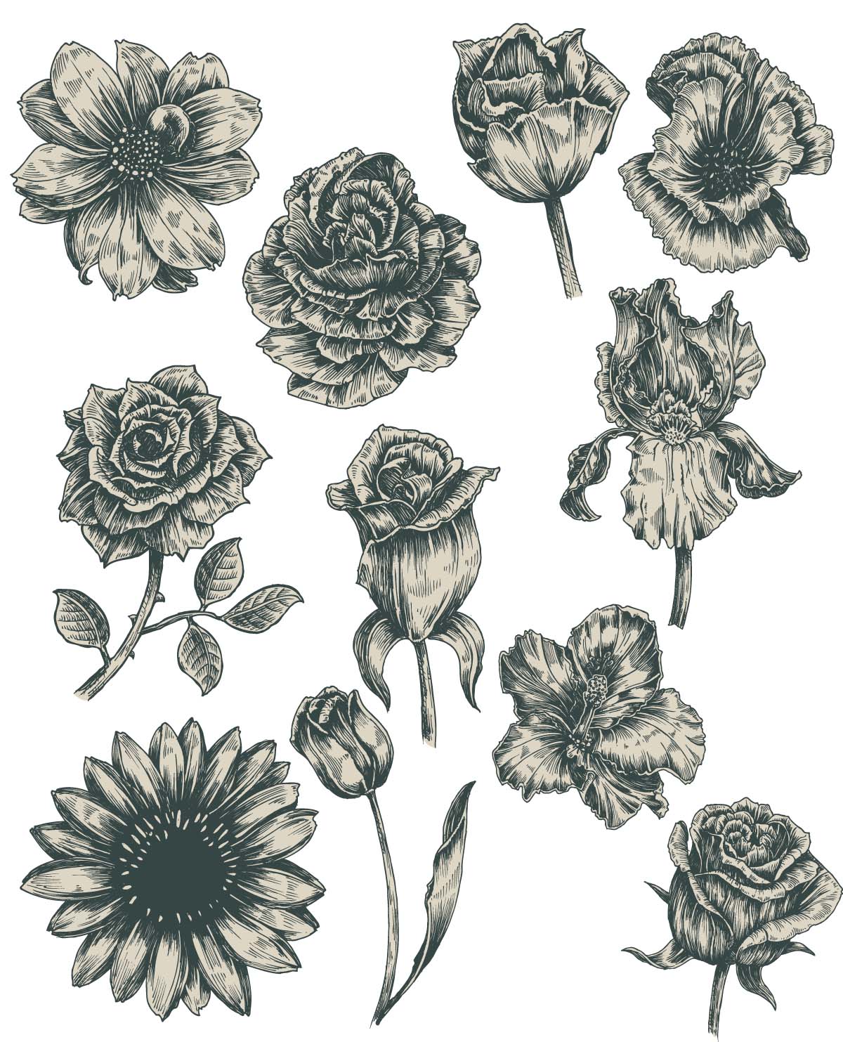 1200x1483 Monochrome Vintage Flowers Vector Free Download