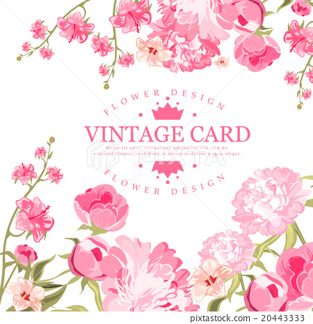 450x465 Vintage Flower Card Vector Illustration