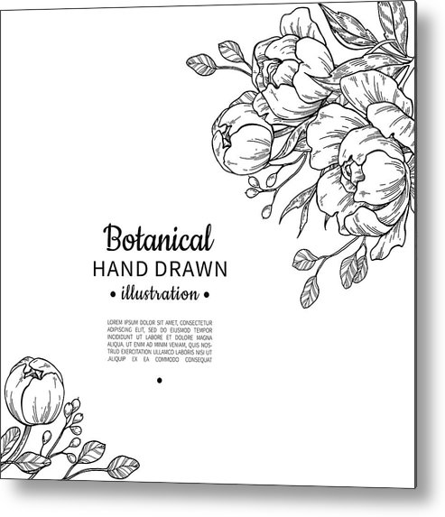 493x573 Vintage Flower Vector Frame Drawing Peony, Rose, Leaves And Ber