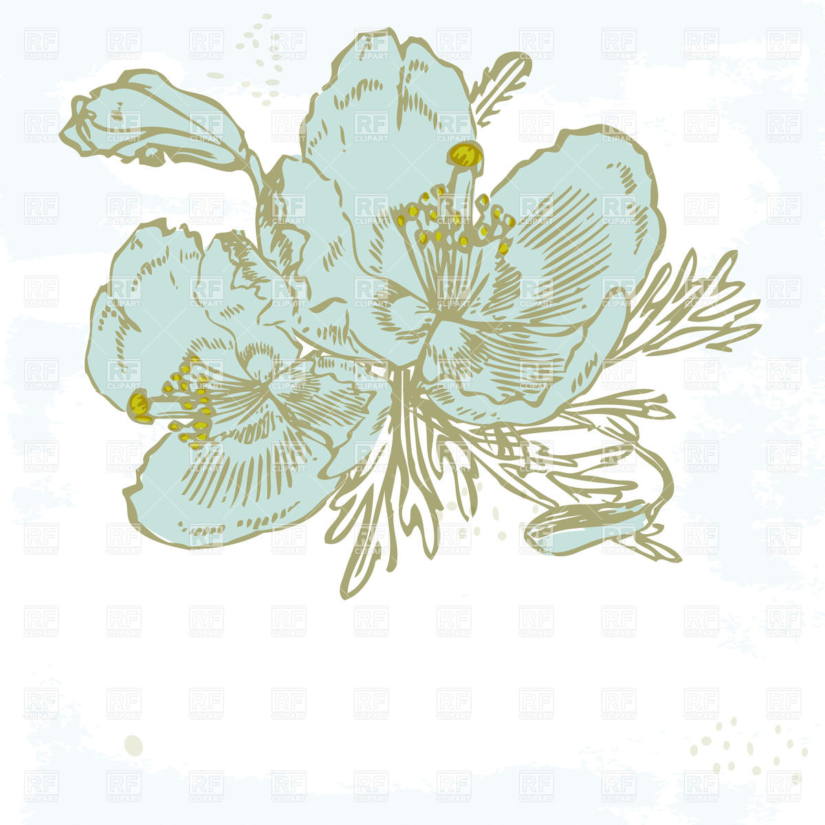 1200x1200 Vintage Greeting Card With Hand Drawn Flowers Vector Image