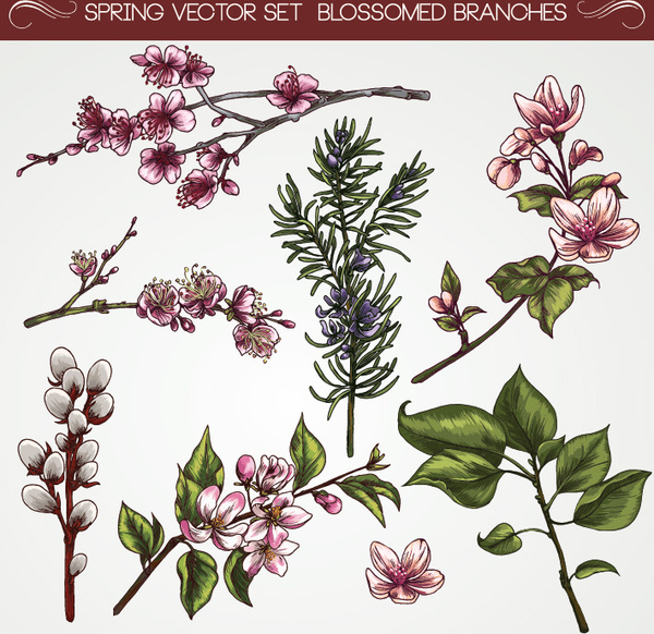 Set Of Vintage Flowers Vector Free Vector In Adobe Illustrator 600x582 Set Of Vintage Flowers Vector Free Vector In Adobe Illustrator