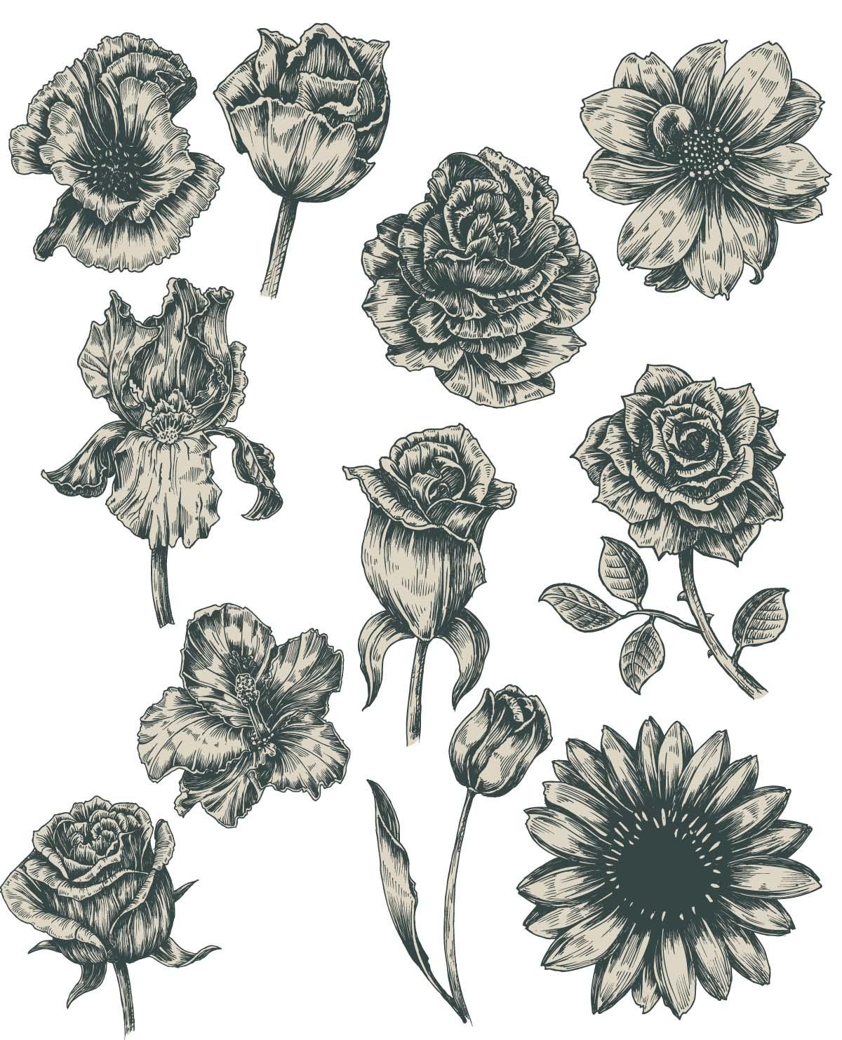 Vector Graphics Flowers Free 1200x1483 Vector Graphics Flowers Free