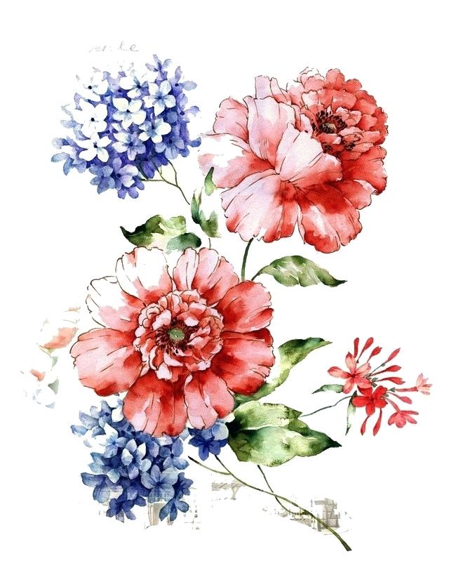 Vector Vintage Flowers Png 650x819 Vector Vintage Flowers Png