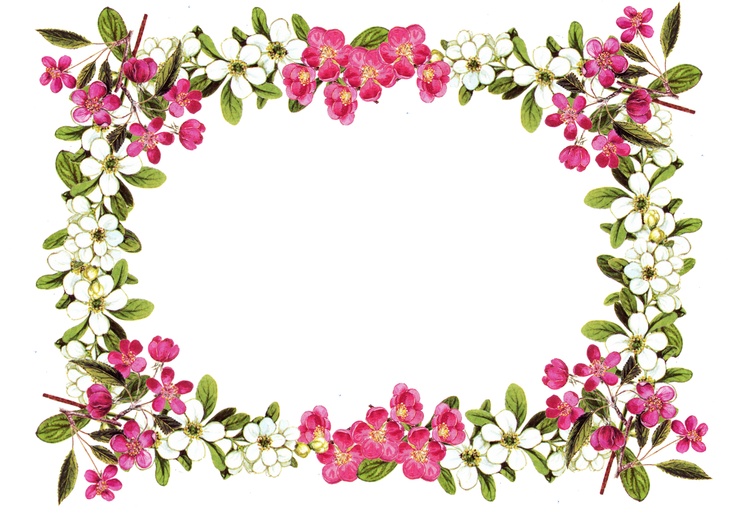 736x525 Frame Clipart Vintage Flower For Free Download And Use Images
