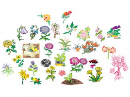 268x201 Vector Vintage Flowers Vectors Stock For Free Download