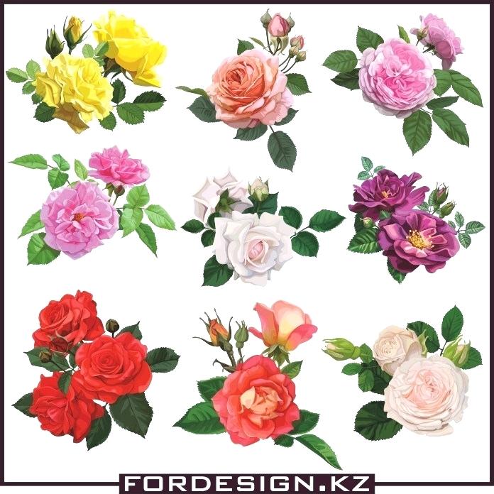 696x696 Vector Flowers Free Download