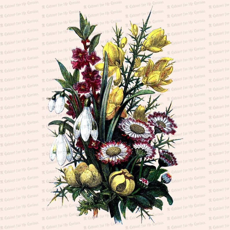 794x794 Victorian Early Spring Wild Flowers Vector Clip Art Antique Etsy