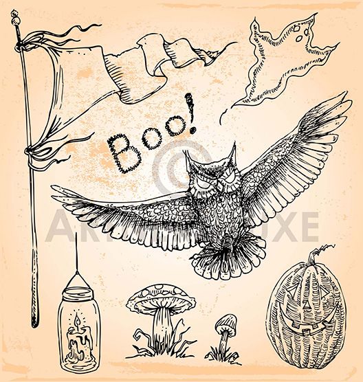 528x556 Spooky Owl Vintage Halloween Illustration