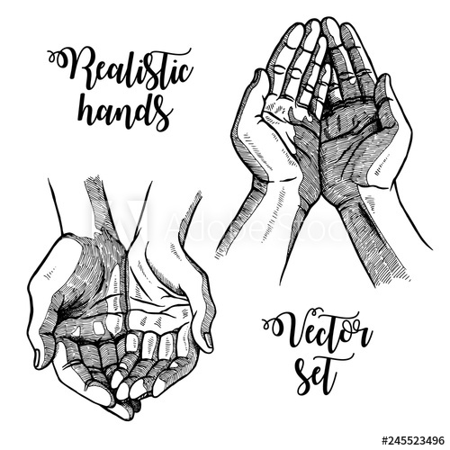 500x500 Hand Drawn Open Palms Black And White Vintage Hands Vector