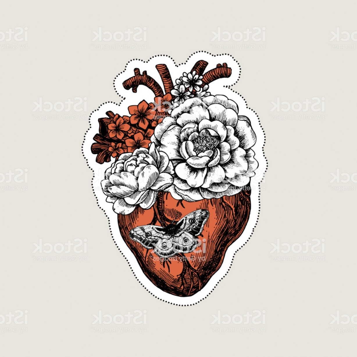 1228x1228 Tattoo Anatomy Vintage Illustration Floral Anatomical Heart Vector