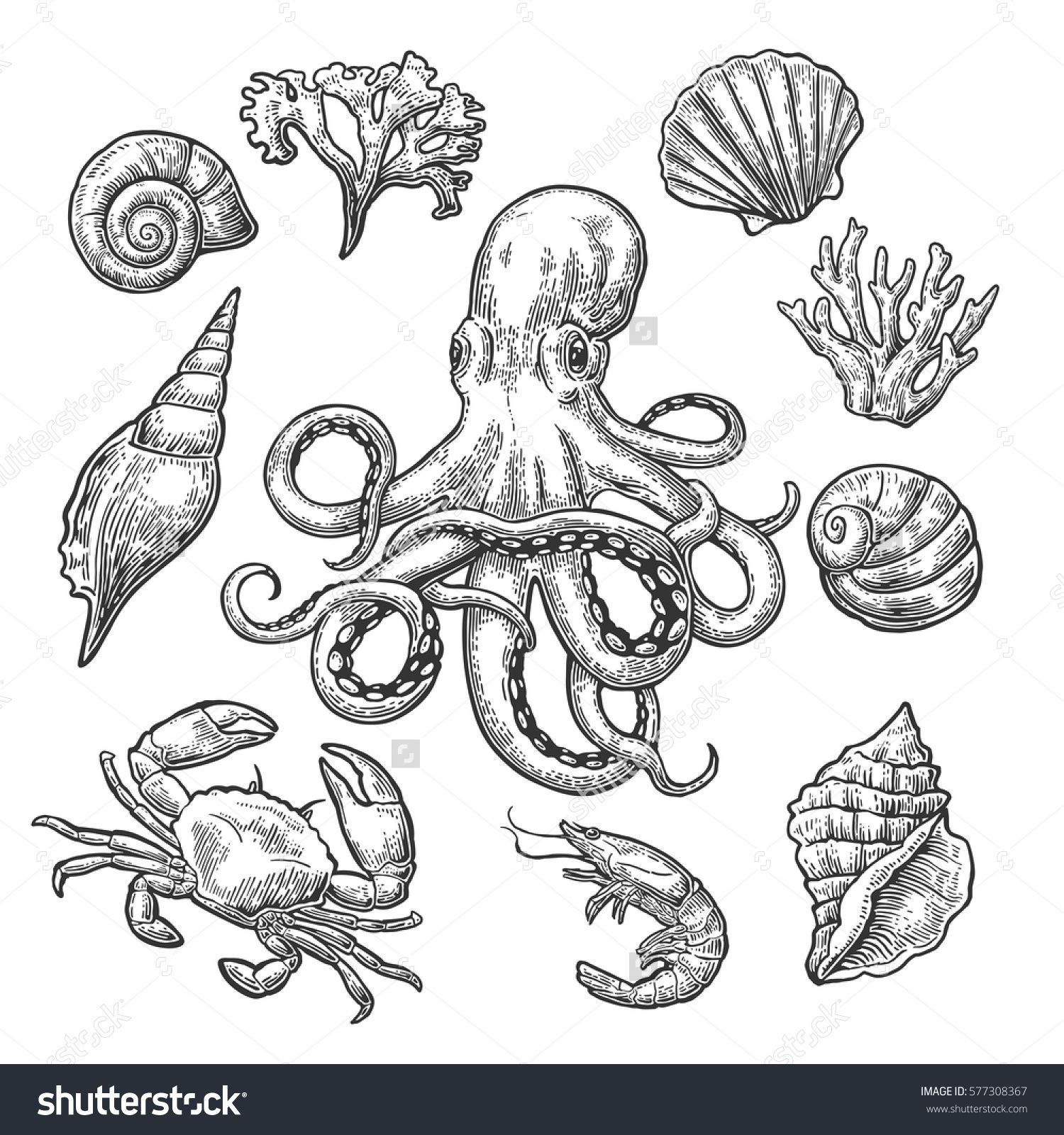 Set Sea Shell, Coral, Crab, Shrimp And Octopus Vector Black 1500x1600 Set Sea Shell, Coral, Crab, Shrimp And Octopus Vector Black