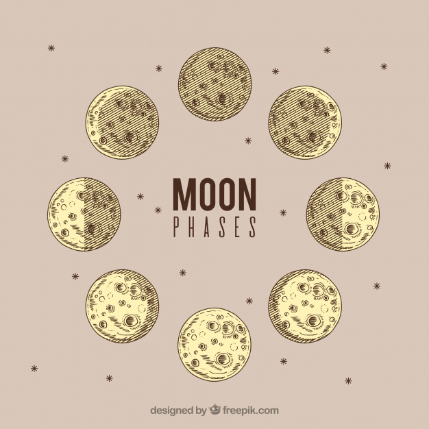 626x626 Moon Phases In Vintage Design Vector Free Download
