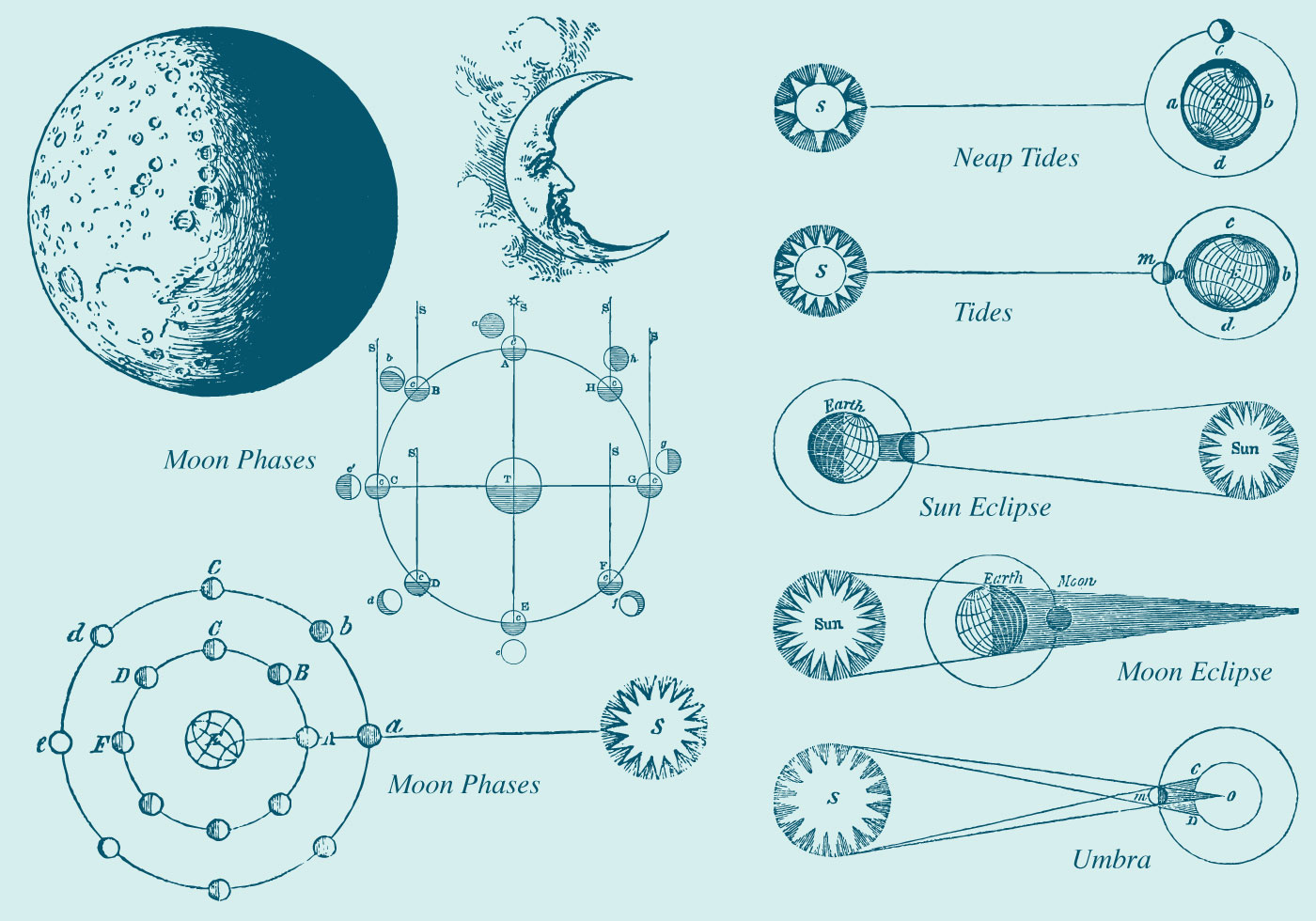 1400x980 Old Style Drawing Moon Phase Vectors