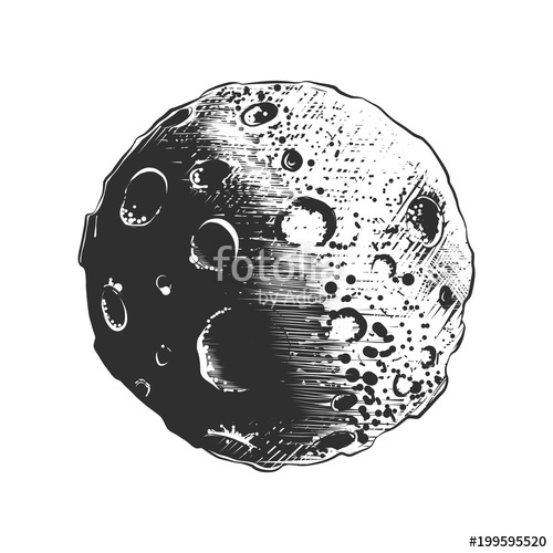 500x500 Vector Engraved Style Illustration For Posters, Decoration