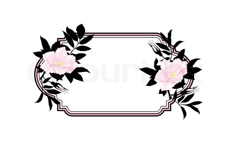 800x487 Vintage Roses Oval Frame Stock Vector Colourbox