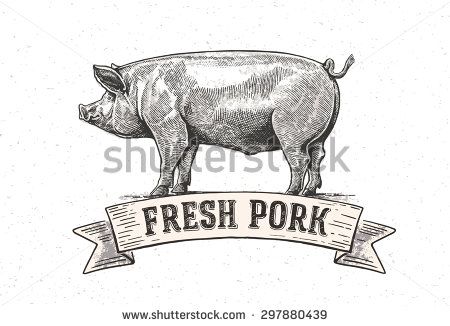450x326 Graphic Pig With The Inscriptionfresh Pig Vector Illustration