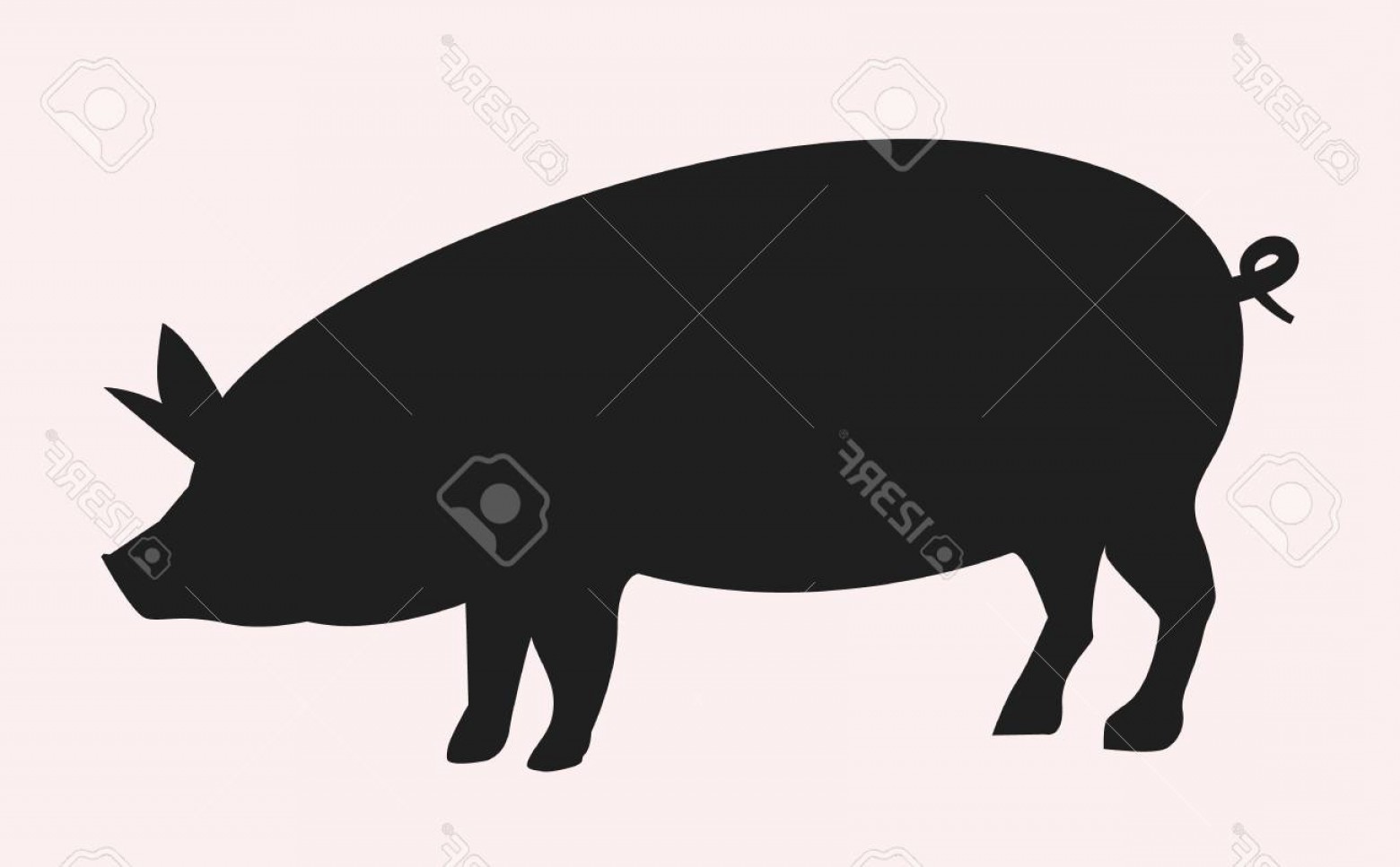 1560x967 Photovector Pig Silhouette Side Retro Vintage Template Pork Animal