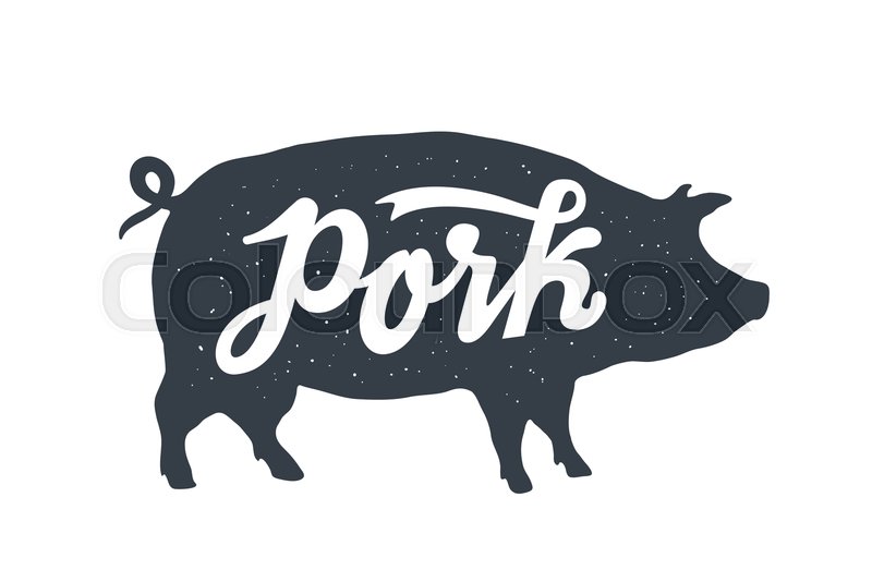 800x534 Pig, Pork Vintage Lettering, Retro Stock Vector Colourbox