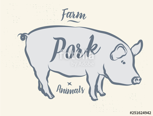 500x378 Pig, Pork Vintage Logo, Retro Print, Poster For Butchery Meat