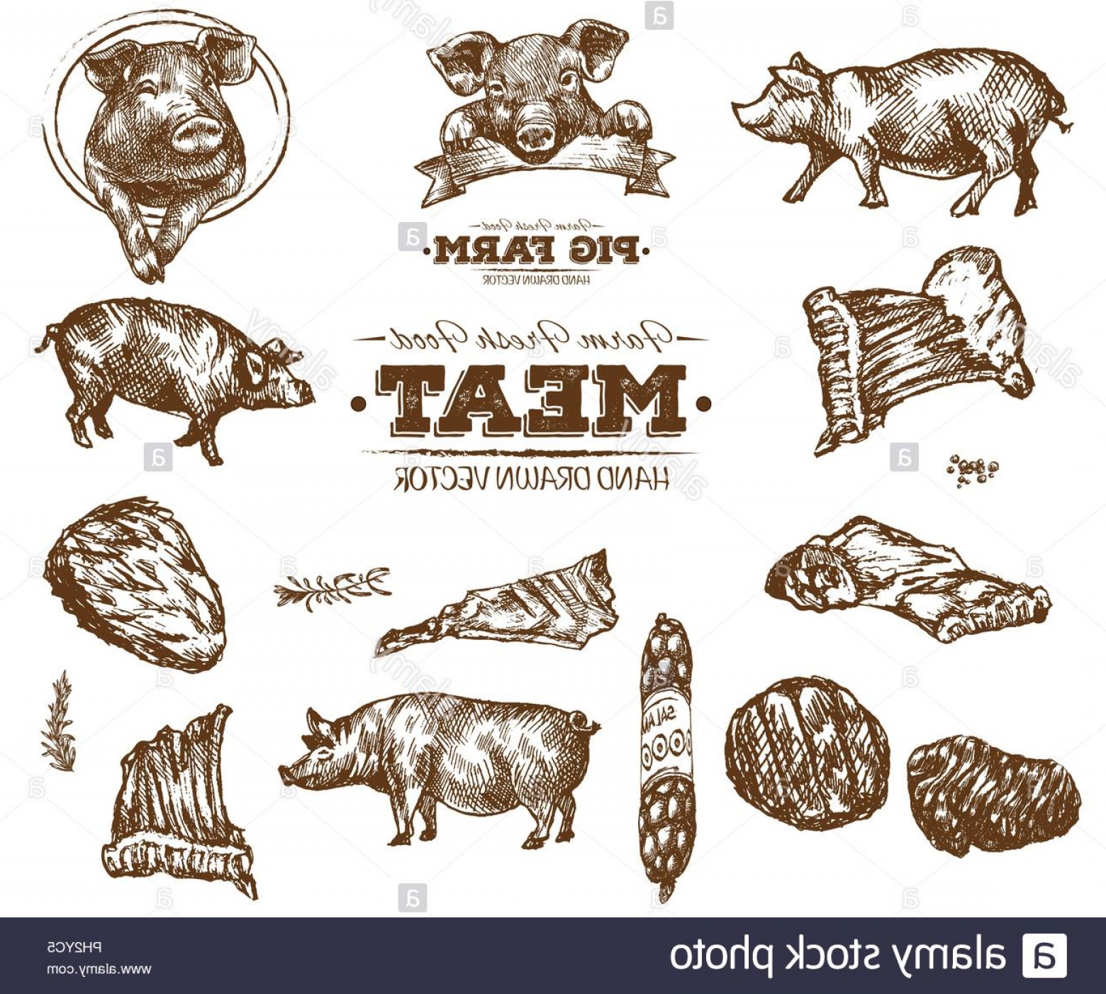 1560x1401 Bbq Pig Vector Black And White Hoodamath