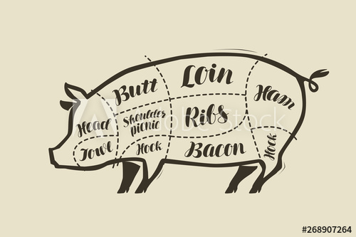500x333 Pig Meat Cutting Menu For Restaurant Or Butcher Shop Vector