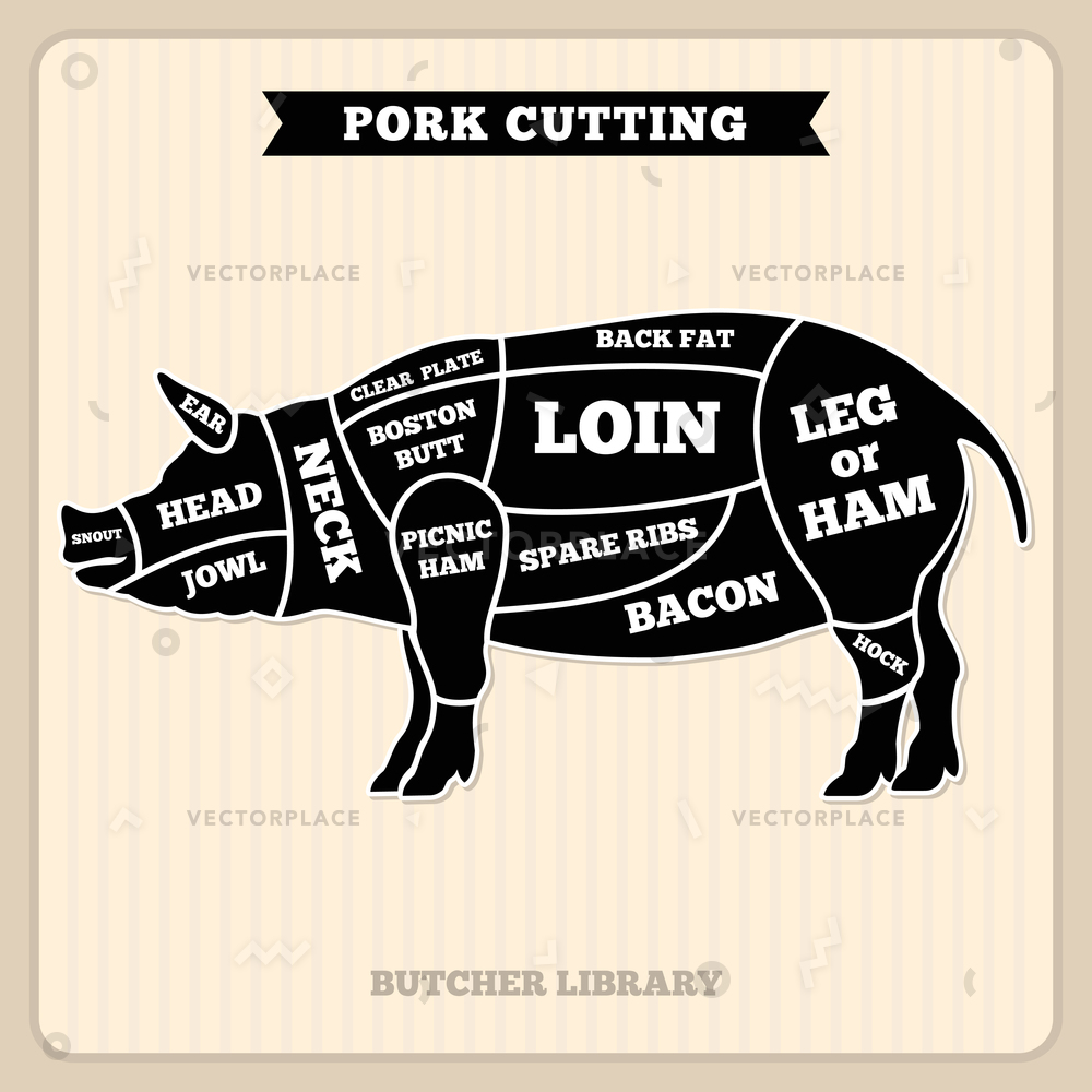 1000x1000 Pork Pig Meat Cutting Vintage Chart Vector Illustration