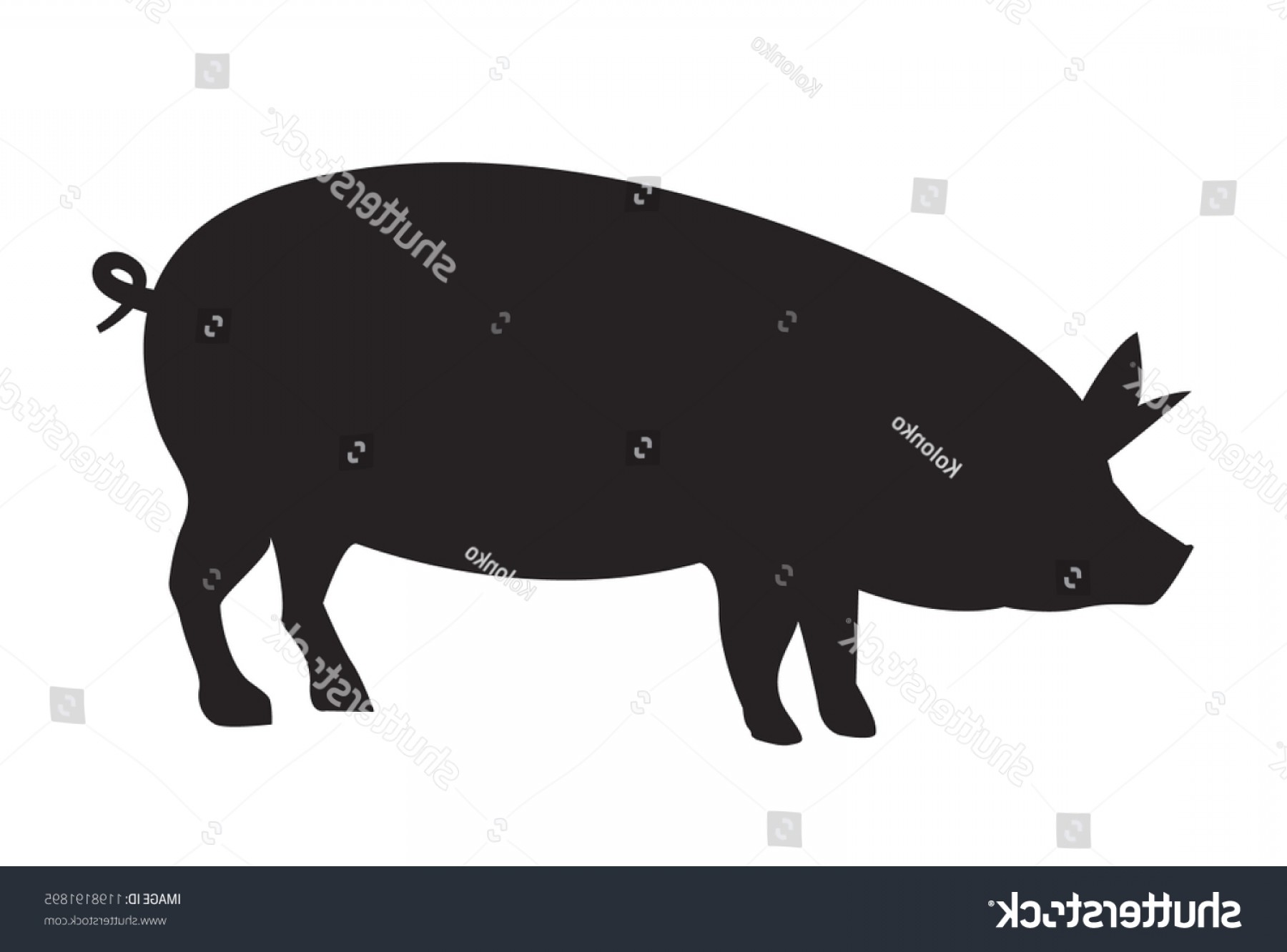 1800x1332 Vector Pig Silhouette Side Retro Vintage Soidergi