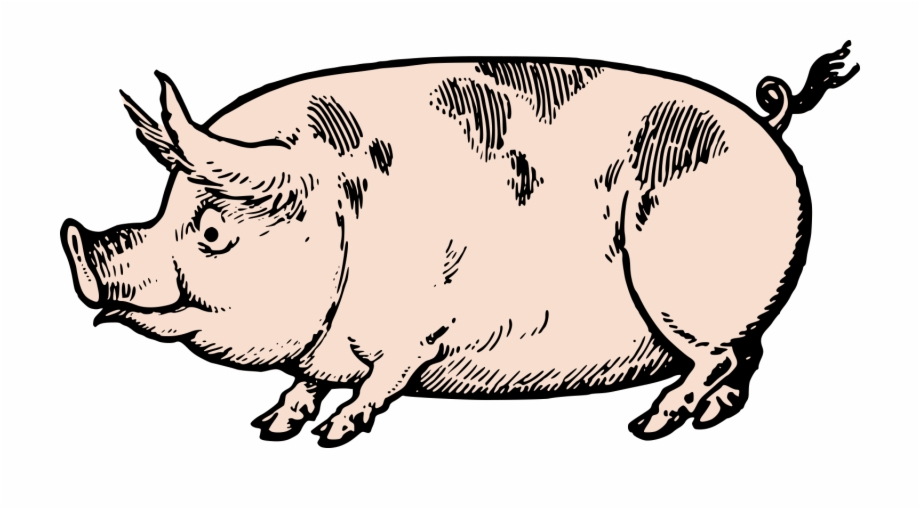 920x509 Cute Vintage Pig Clip Art Stock Vector Oh So Nifty