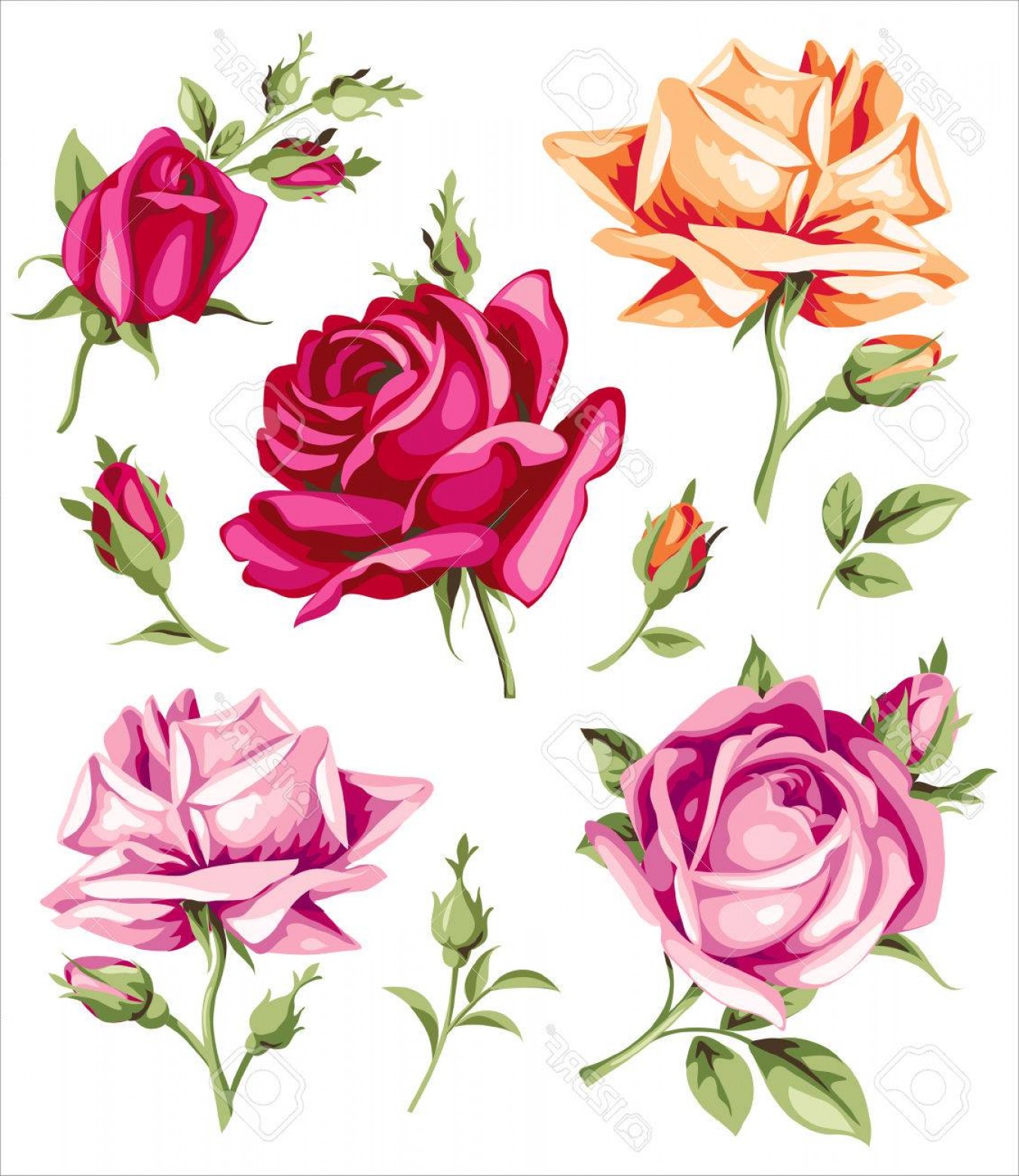 1352x1560 Photostock Vector Decorative Vintage Roses Vector Set Of Flowers