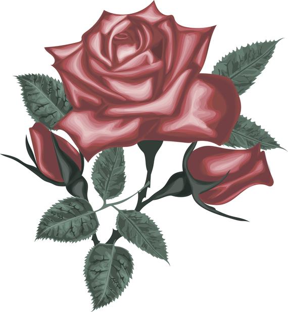 570x618 Red Rose Vector Vector Red Roses Digital Rose Rose Clipart Etsy