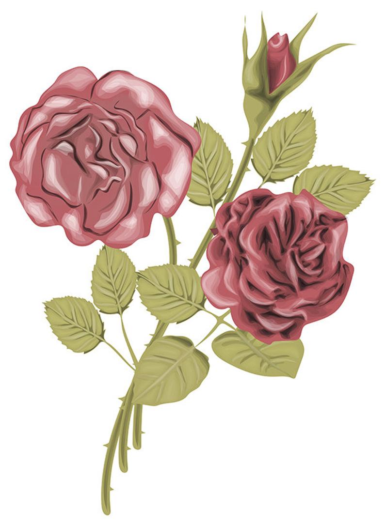 Vintage Rose Vector at Vectorified.com | Collection of Vintage Rose ...